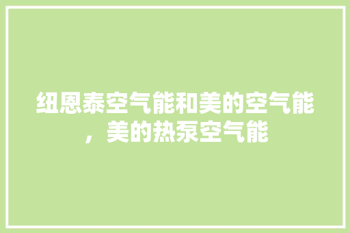 纽恩泰空气能和美的空气能，美的热泵空气能