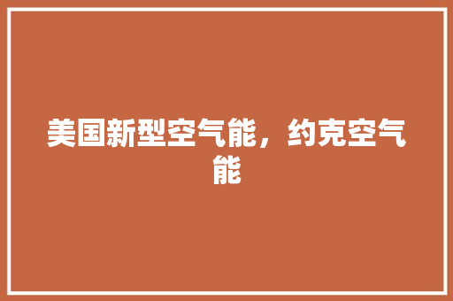 美国新型空气能，约克空气能 汽车维修