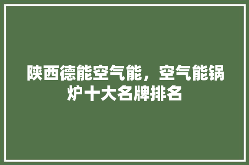 陕西德能空气能，空气能锅炉十大名牌排名 汽车维修