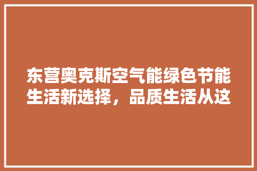 东营奥克斯空气能绿色节能生活新选择，品质生活从这里开启 墙体维修