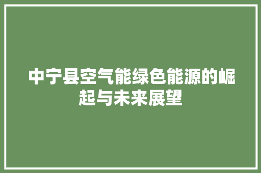 中宁县空气能绿色能源的崛起与未来展望