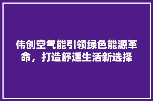 伟创空气能引领绿色能源革命，打造舒适生活新选择