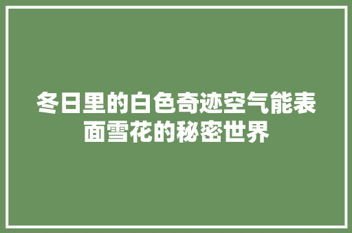 冬日里的白色奇迹空气能表面雪花的秘密世界 汽车维修