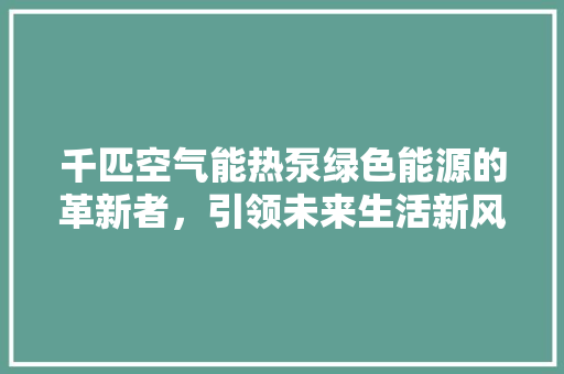 千匹空气能热泵绿色能源的革新者，引领未来生活新风尚 综合便民