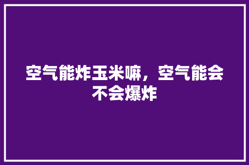 空气能炸玉米嘛，空气能会不会爆炸 汽车维修