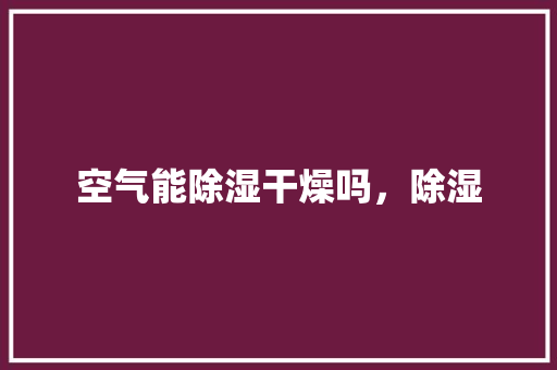 空气能除湿干燥吗，除湿 汽车维修