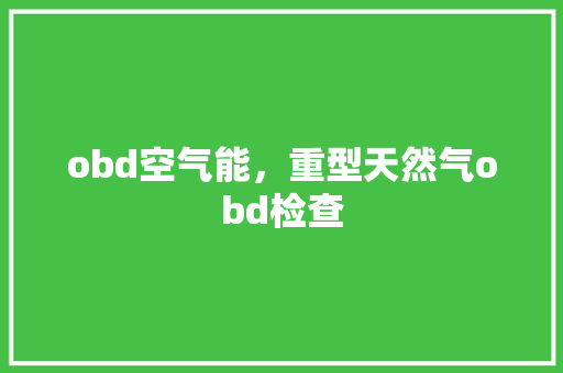 obd空气能，重型天然气obd检查 汽车维修