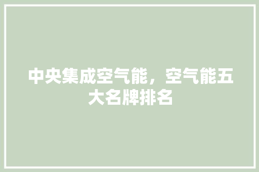 中央集成空气能，空气能五大名牌排名