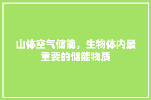 山体空气储能，生物体内最重要的储能物质