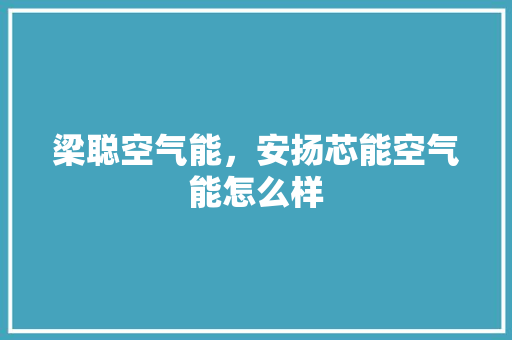 梁聪空气能，安扬芯能空气能怎么样