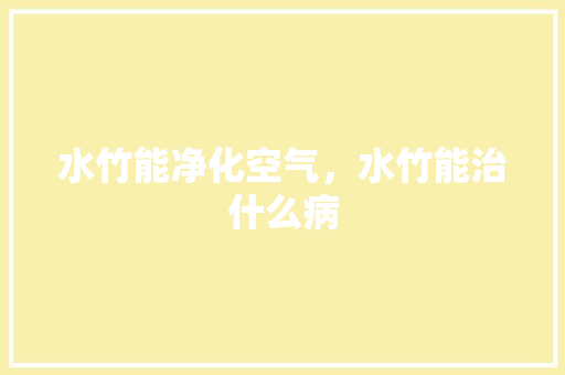 水竹能净化空气，水竹能治什么病