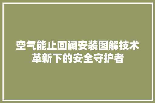 空气能止回阀安装图解技术革新下的安全守护者 综合便民