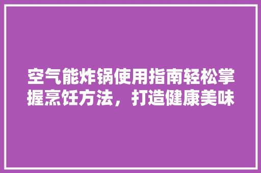 空气能炸锅使用指南轻松掌握烹饪方法，打造健康美味佳肴 家电维修