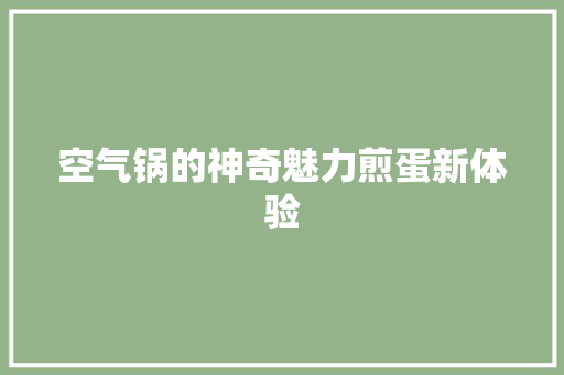 空气锅的神奇魅力煎蛋新体验