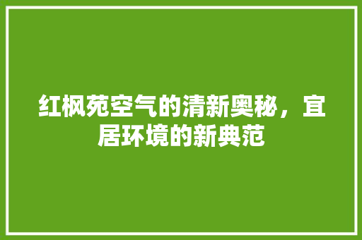 红枫苑空气的清新奥秘，宜居环境的新典范 厨房维修