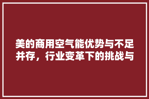 美的商用空气能优势与不足并存，行业变革下的挑战与机遇