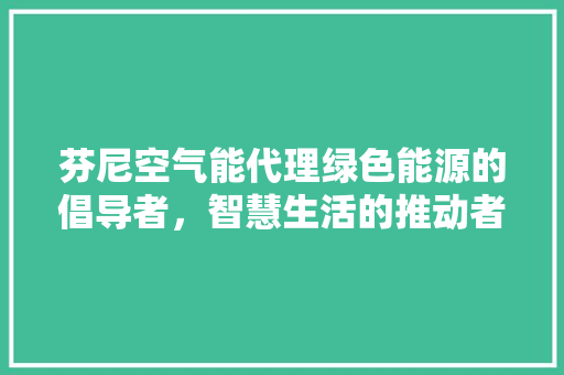 芬尼空气能代理绿色能源的倡导者，智慧生活的推动者