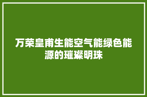 万荣皇甫生能空气能绿色能源的璀璨明珠 家电维修