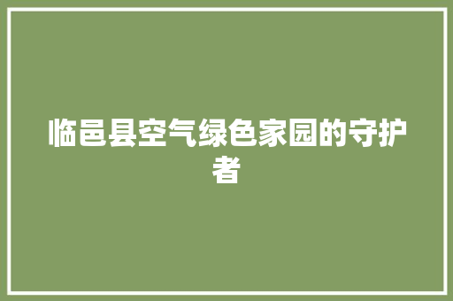 临邑县空气绿色家园的守护者 汽车维修