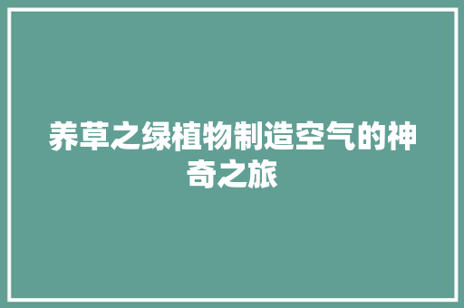 养草之绿植物制造空气的神奇之旅