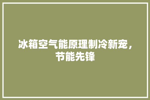 冰箱空气能原理制冷新宠，节能先锋