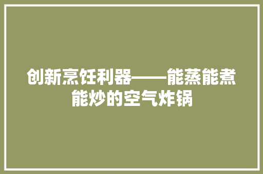 创新烹饪利器——能蒸能煮能炒的空气炸锅