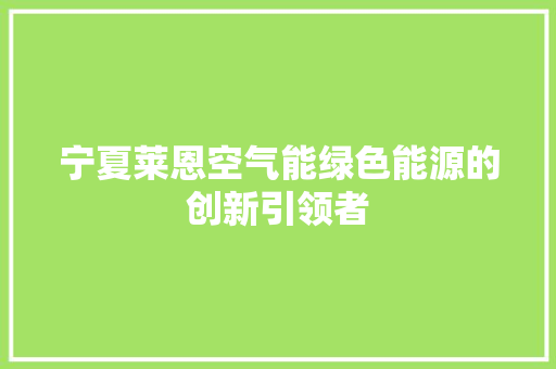宁夏莱恩空气能绿色能源的创新引领者
