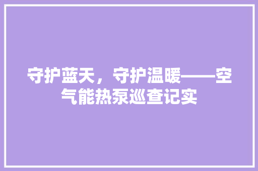 守护蓝天，守护温暖——空气能热泵巡查记实