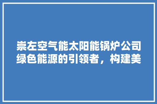 崇左空气能太阳能锅炉公司绿色能源的引领者，构建美好未来