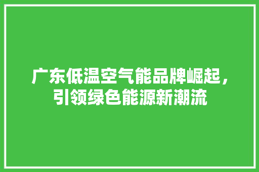 广东低温空气能品牌崛起，引领绿色能源新潮流