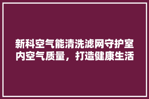 新科空气能清洗滤网守护室内空气质量，打造健康生活空间 厨房维修