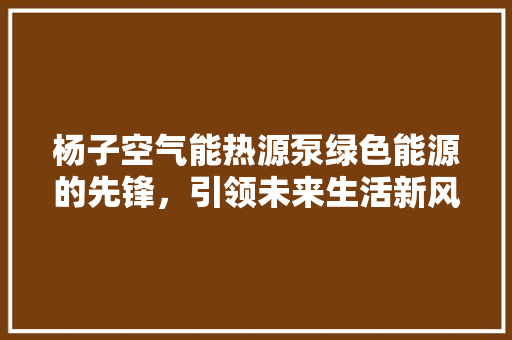 杨子空气能热源泵绿色能源的先锋，引领未来生活新风尚