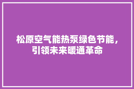 松原空气能热泵绿色节能，引领未来暖通革命