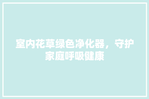室内花草绿色净化器，守护家庭呼吸健康 墙体维修