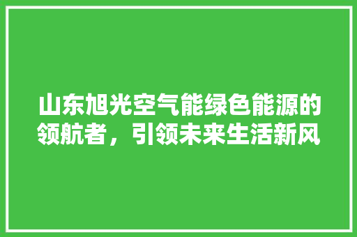 山东旭光空气能绿色能源的领航者，引领未来生活新风尚 家电维修