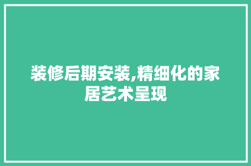 装修后期安装,精细化的家居艺术呈现 装修后期安装,精细化的家居艺术呈现 家电维修
