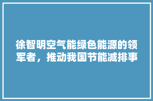 徐智明空气能绿色能源的领军者，推动我国节能减排事业
