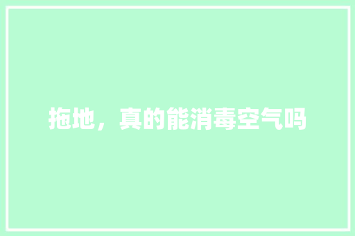 拖地，真的能消毒空气吗 厨房维修