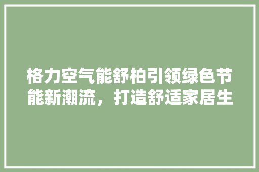 格力空气能舒柏引领绿色节能新潮流，打造舒适家居生活 厨房维修