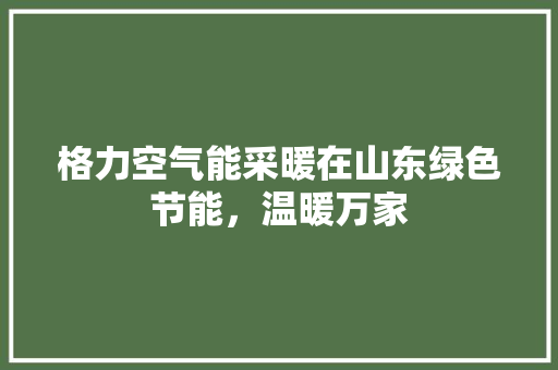 格力空气能采暖在山东绿色节能，温暖万家 汽车维修