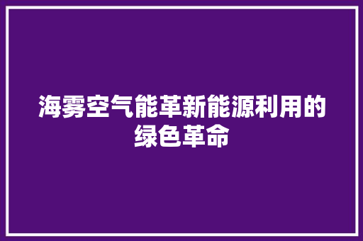 海雾空气能革新能源利用的绿色革命 墙体维修