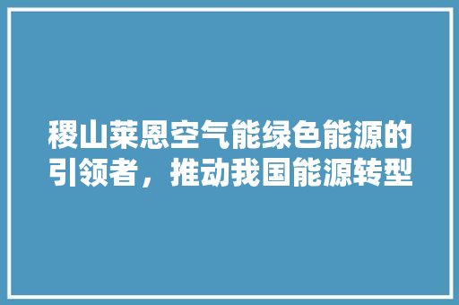 稷山莱恩空气能绿色能源的引领者，推动我国能源转型 综合便民