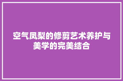 空气凤梨的修剪艺术养护与美学的完美结合 家电维修