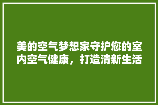 美的空气梦想家守护您的室内空气健康，打造清新生活空间