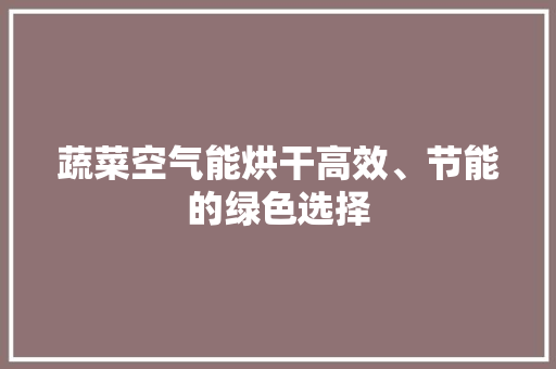 蔬菜空气能烘干高效、节能的绿色选择 汽车维修