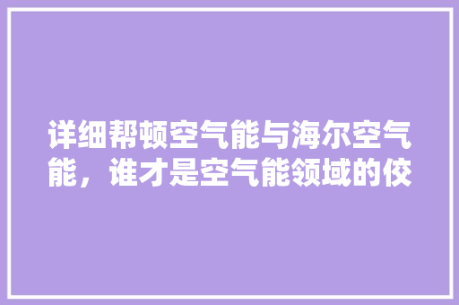 详细帮顿空气能与海尔空气能，谁才是空气能领域的佼佼者 墙体维修