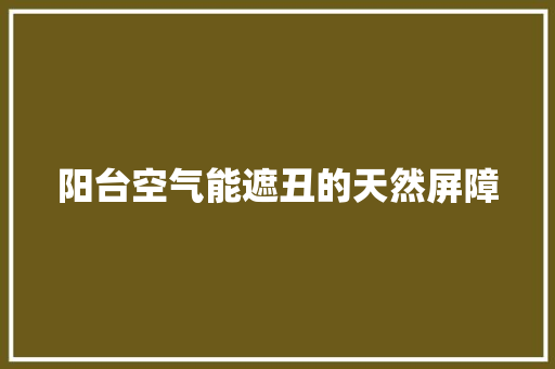 阳台空气能遮丑的天然屏障