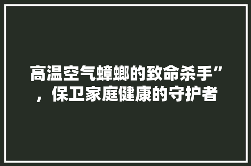 高温空气蟑螂的致命杀手”，保卫家庭健康的守护者 墙体维修