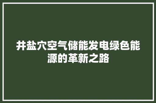 井盐穴空气储能发电绿色能源的革新之路