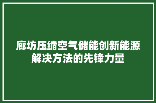 廊坊压缩空气储能创新能源解决方法的先锋力量 墙体维修